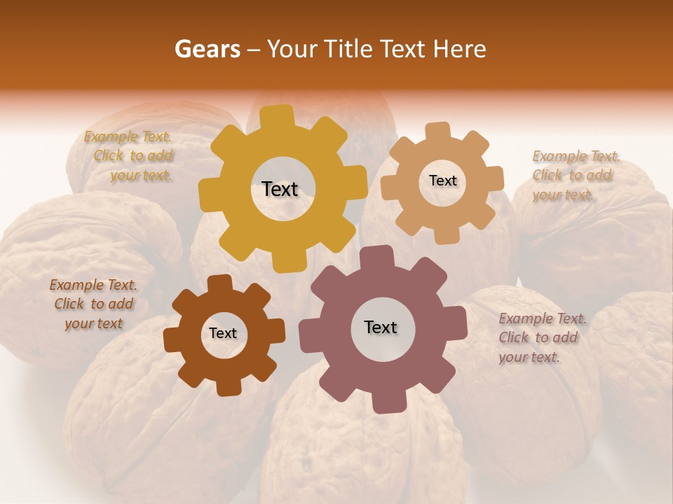 Nut Background Walnut PowerPoint Template