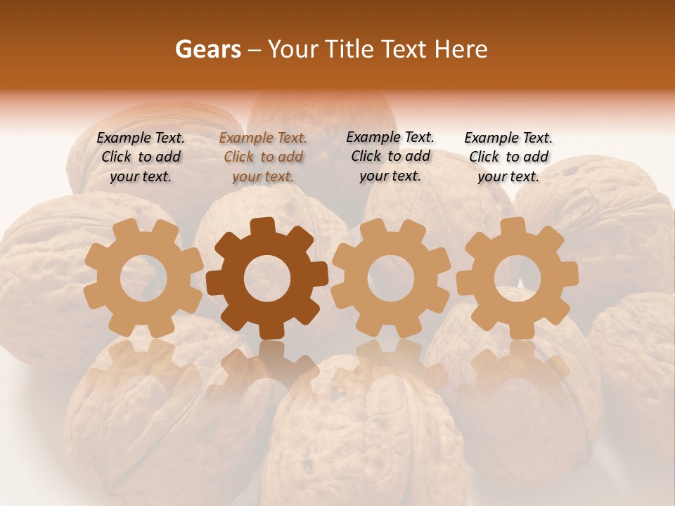 Nut Background Walnut PowerPoint Template