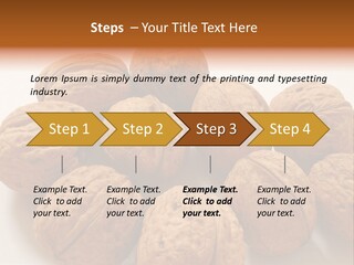 Nut Background Walnut PowerPoint Template