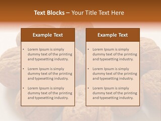 Nut Background Walnut PowerPoint Template