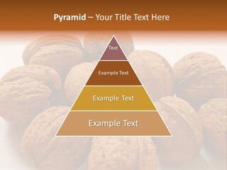 Nut Background Walnut PowerPoint Template