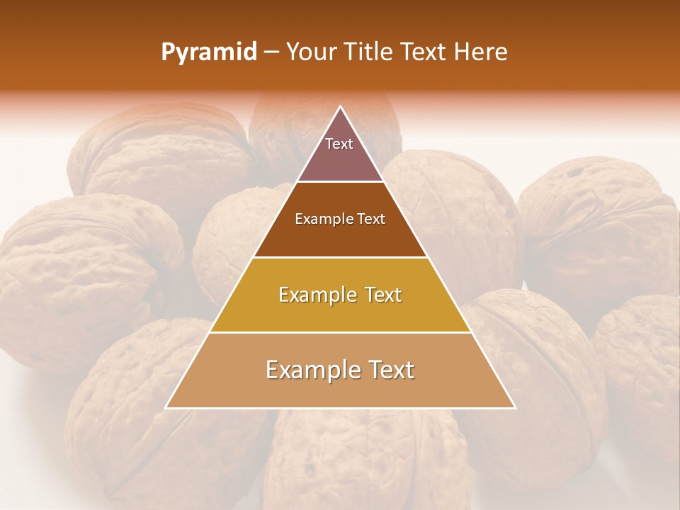 Nut Background Walnut PowerPoint Template