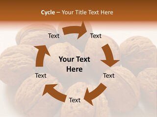 Nut Background Walnut PowerPoint Template