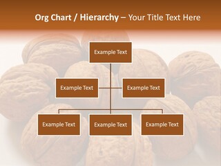 Nut Background Walnut PowerPoint Template