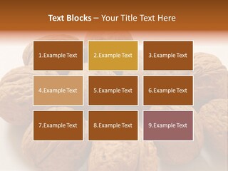 Nut Background Walnut PowerPoint Template