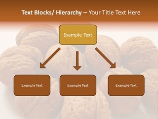 Nut Background Walnut PowerPoint Template