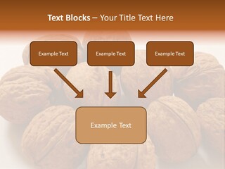 Nut Background Walnut PowerPoint Template