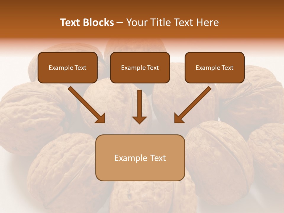 Nut Background Walnut PowerPoint Template