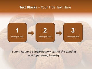 Nut Background Walnut PowerPoint Template