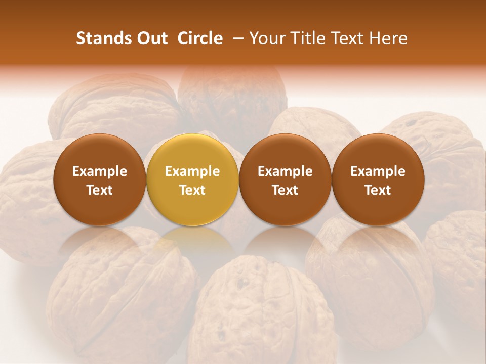 Nut Background Walnut PowerPoint Template