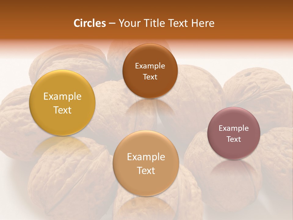 Nut Background Walnut PowerPoint Template