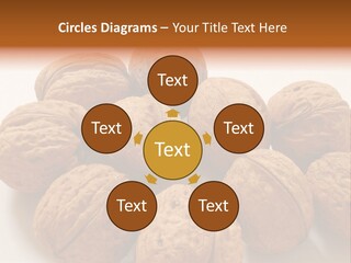 Nut Background Walnut PowerPoint Template