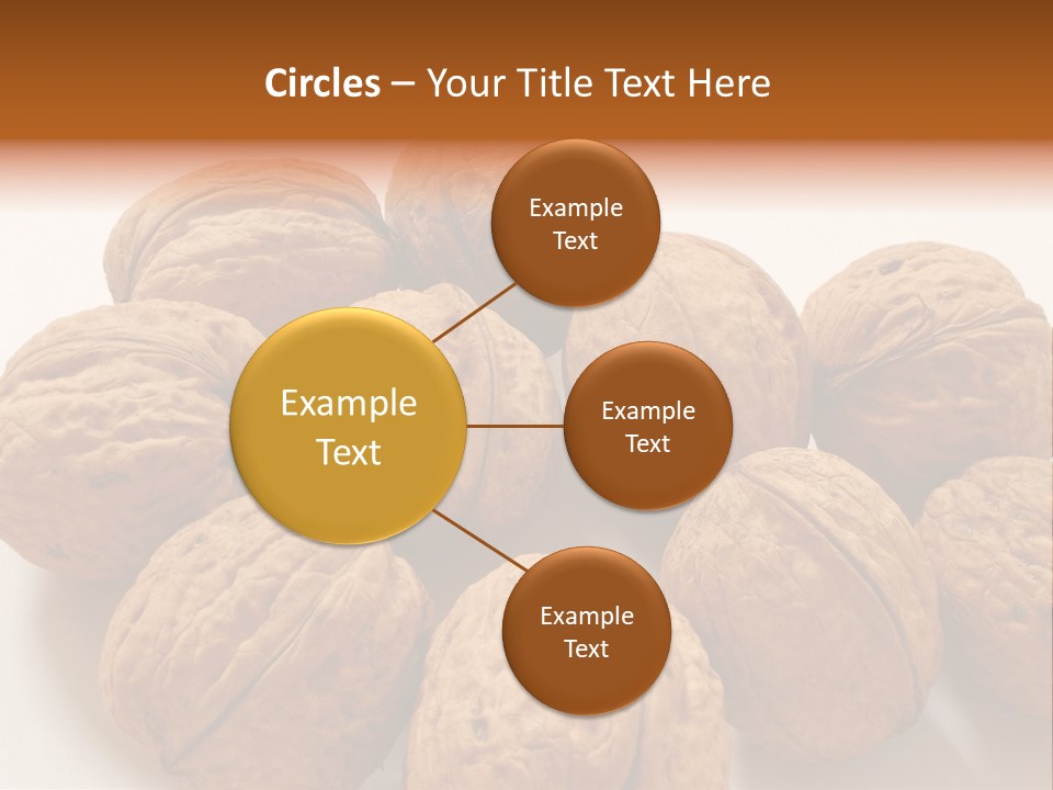 Nut Background Walnut PowerPoint Template