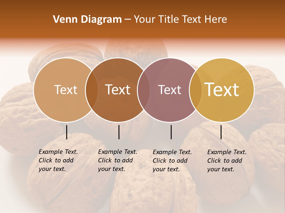 Nut Background Walnut PowerPoint Template