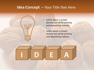Nut Background Walnut PowerPoint Template