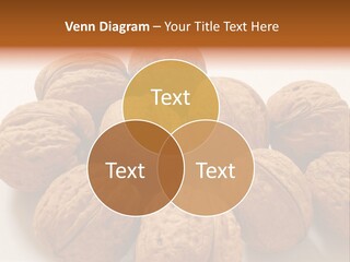 Nut Background Walnut PowerPoint Template