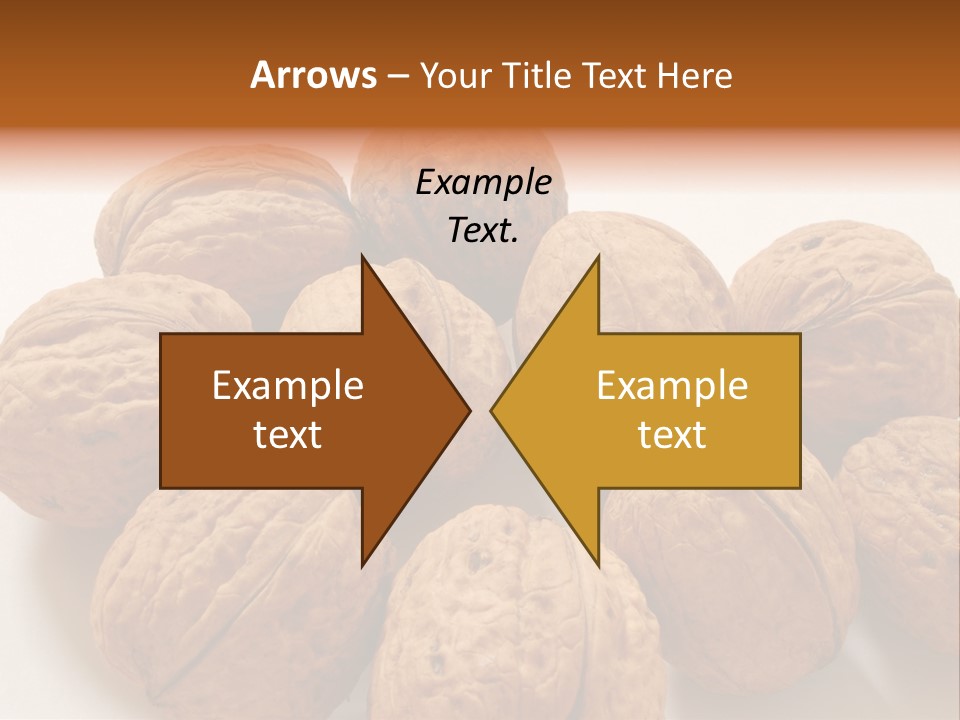 Nut Background Walnut PowerPoint Template