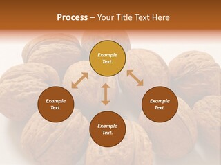 Nut Background Walnut PowerPoint Template