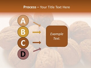 Nut Background Walnut PowerPoint Template