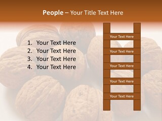 Nut Background Walnut PowerPoint Template