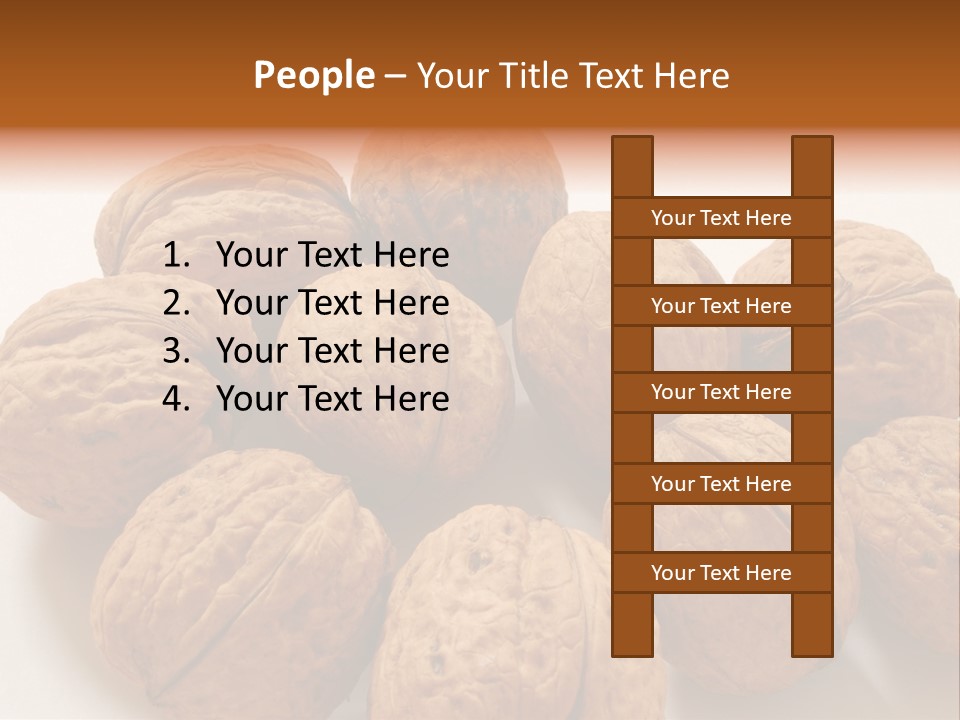 Nut Background Walnut PowerPoint Template