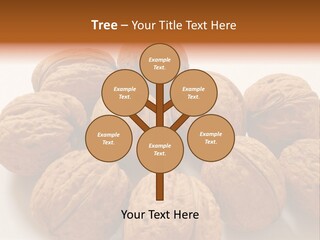 Nut Background Walnut PowerPoint Template