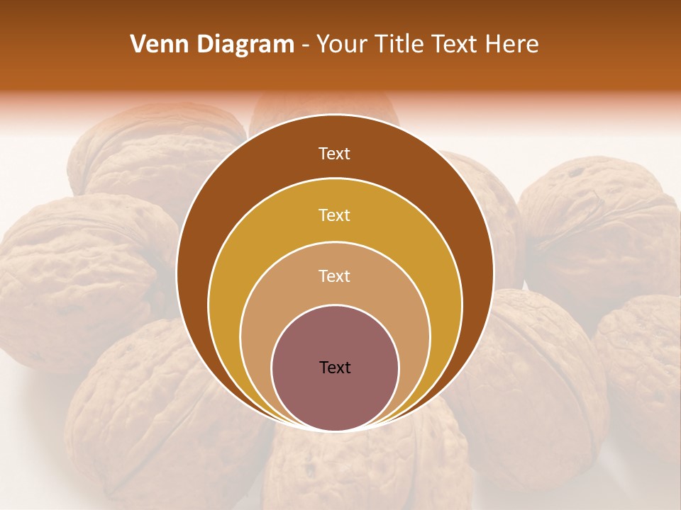Nut Background Walnut PowerPoint Template