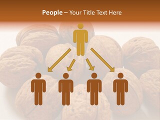 Nut Background Walnut PowerPoint Template