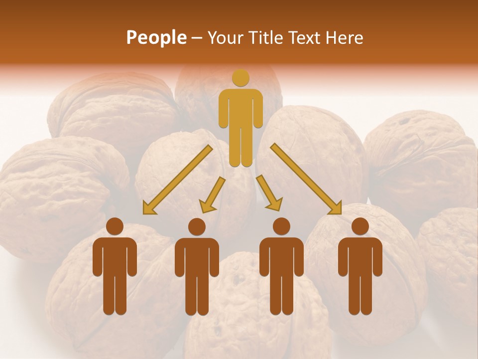 Nut Background Walnut PowerPoint Template