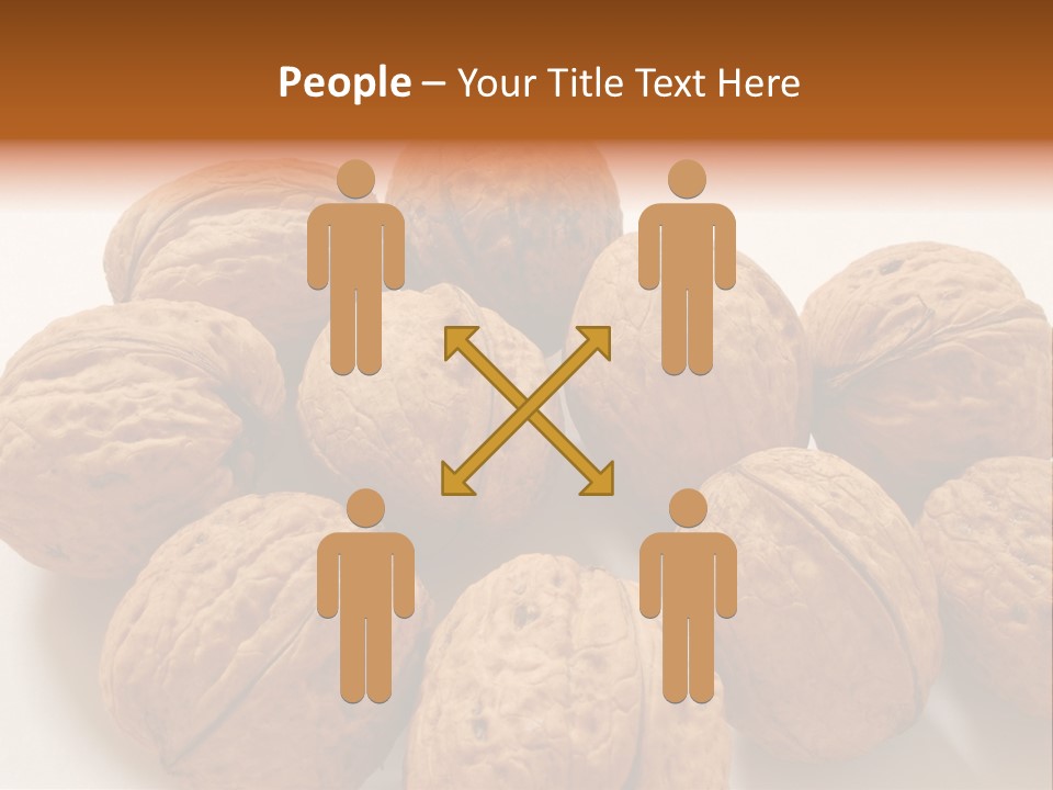 Nut Background Walnut PowerPoint Template