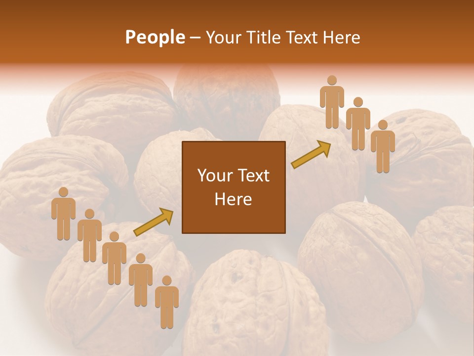 Nut Background Walnut PowerPoint Template