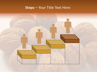 Nut Background Walnut PowerPoint Template