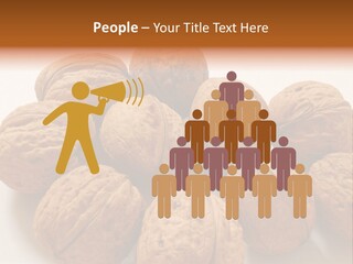 Nut Background Walnut PowerPoint Template