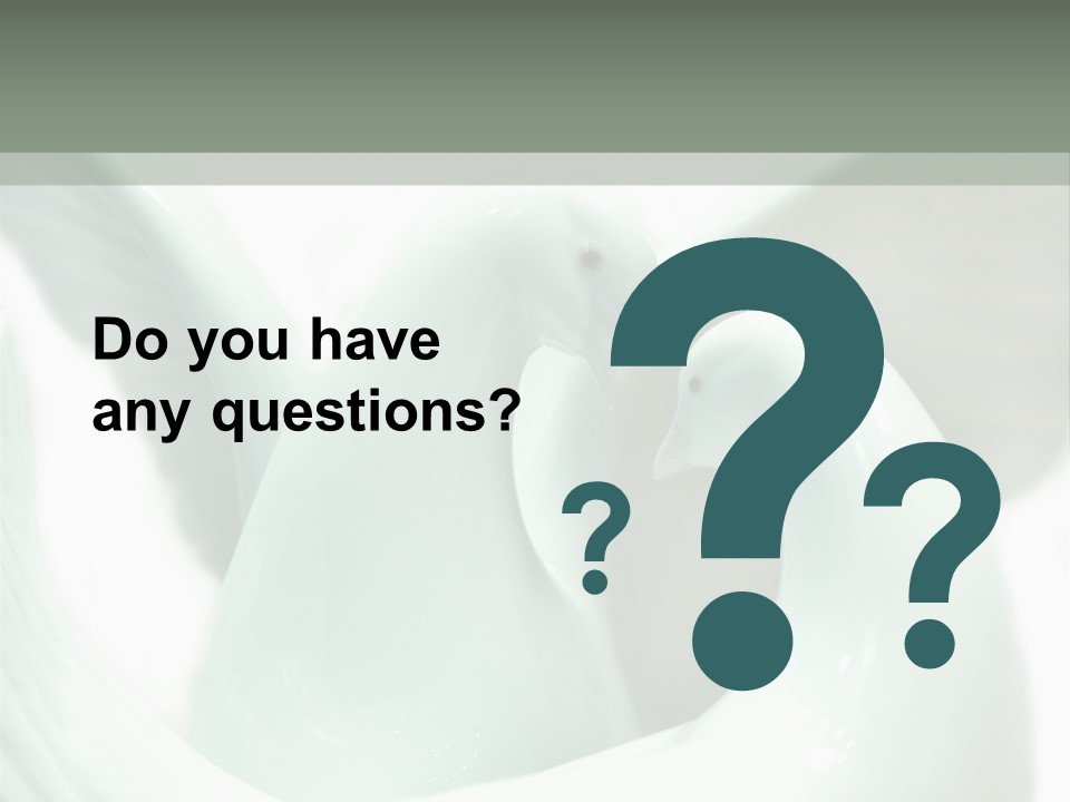 Couple Nest Two PowerPoint Template