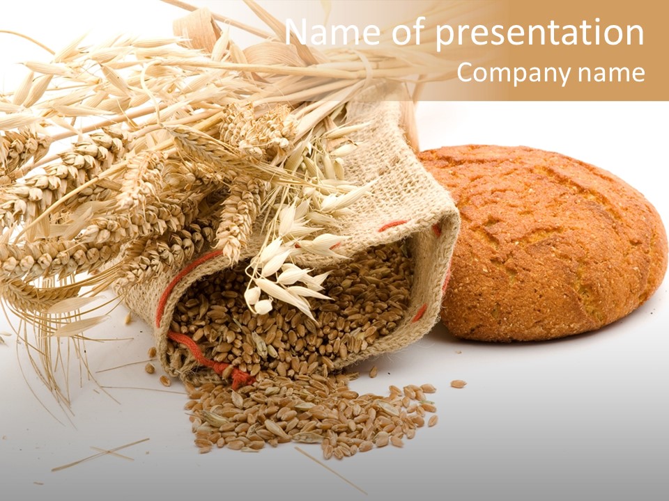 Food Wheat Crop PowerPoint Template