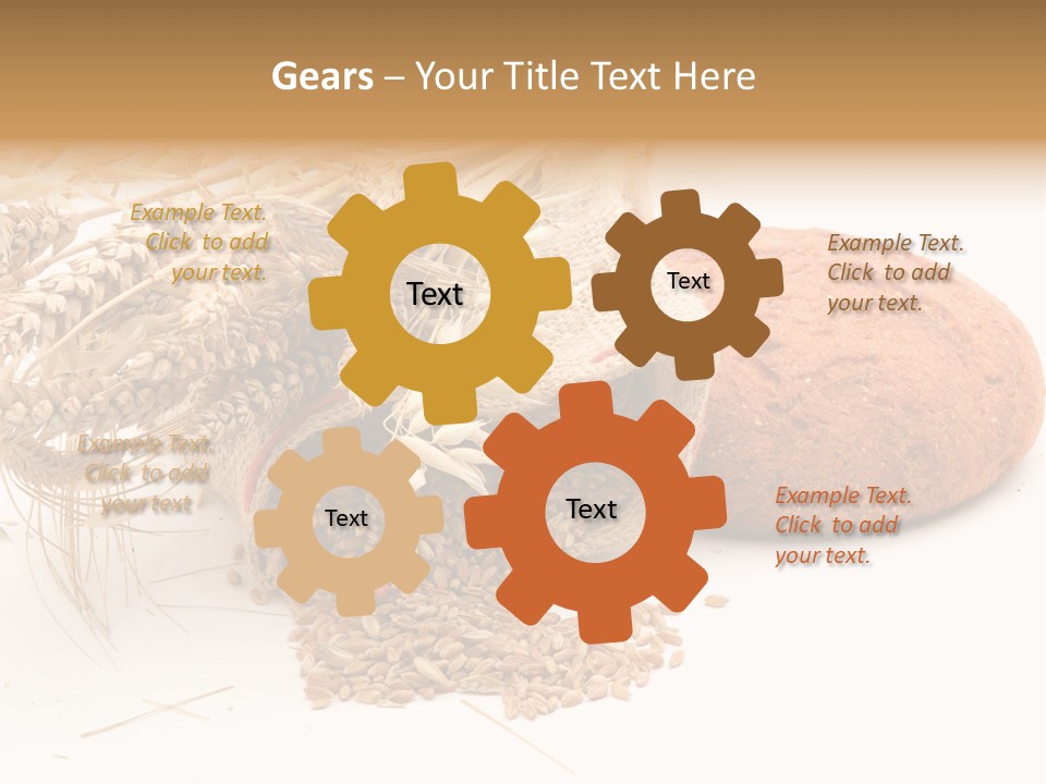 Food Wheat Crop PowerPoint Template