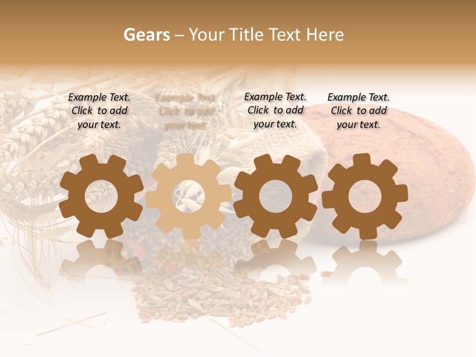 Food Wheat Crop PowerPoint Template