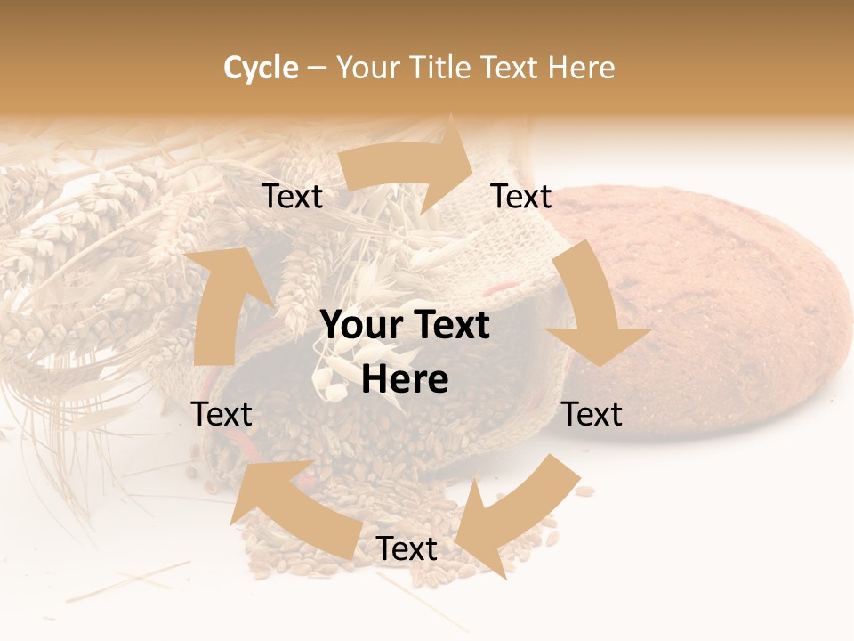 Food Wheat Crop PowerPoint Template