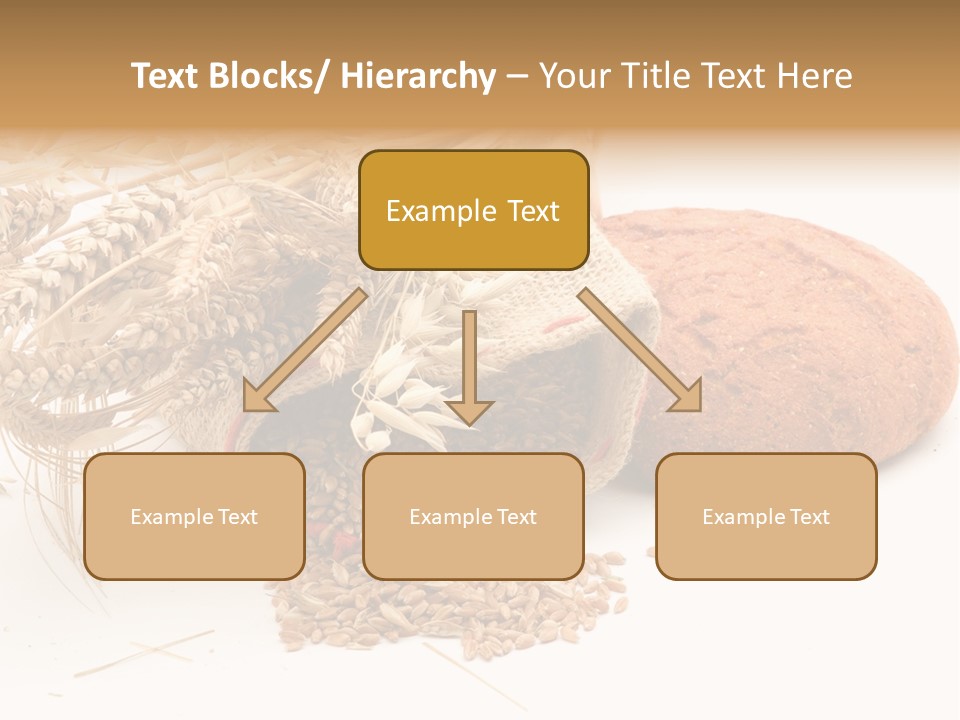 Food Wheat Crop PowerPoint Template