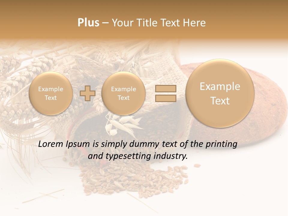 Food Wheat Crop PowerPoint Template
