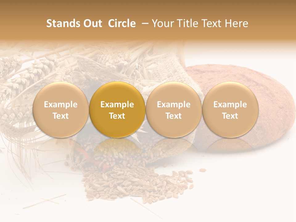 Food Wheat Crop PowerPoint Template