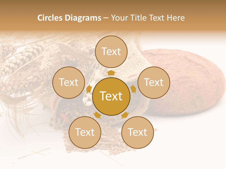 Food Wheat Crop PowerPoint Template