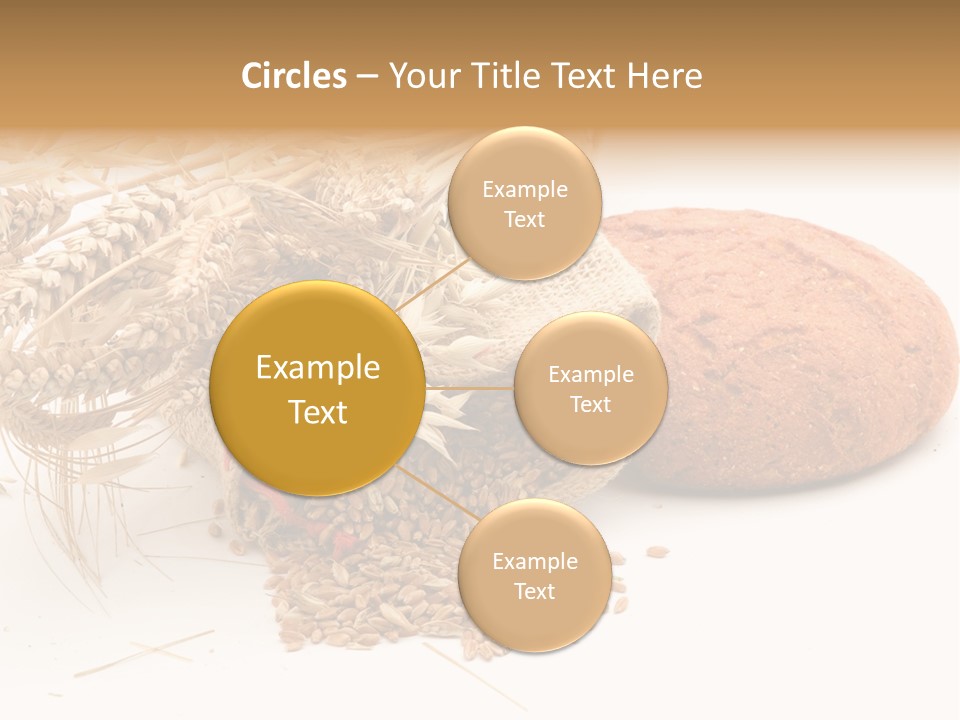 Food Wheat Crop PowerPoint Template