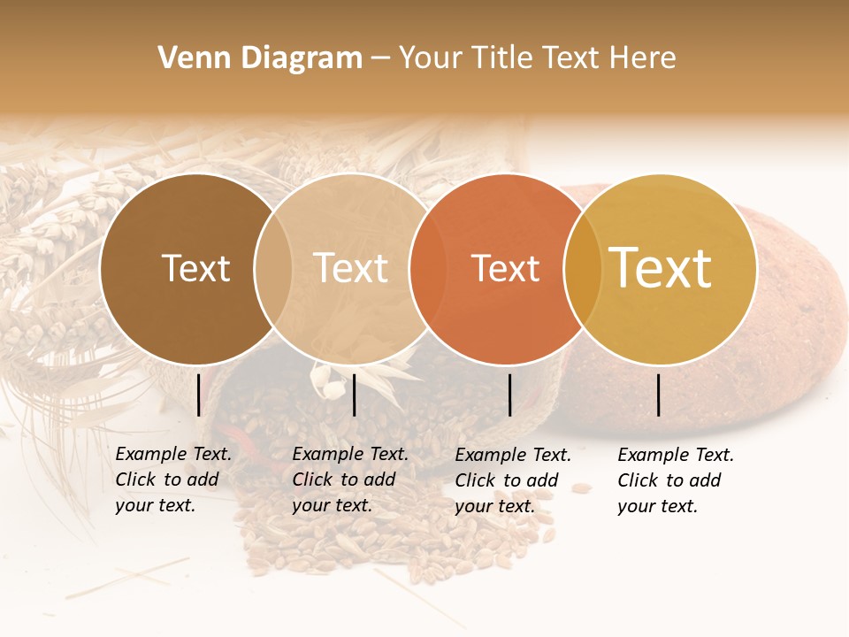 Food Wheat Crop PowerPoint Template