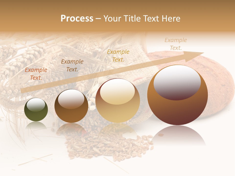 Food Wheat Crop PowerPoint Template