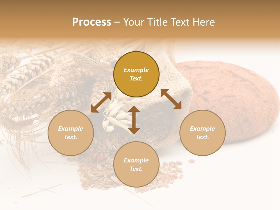 Food Wheat Crop PowerPoint Template