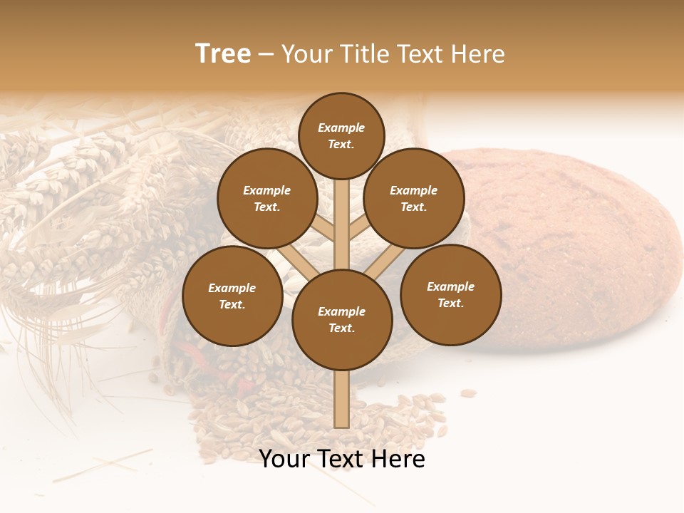 Food Wheat Crop PowerPoint Template