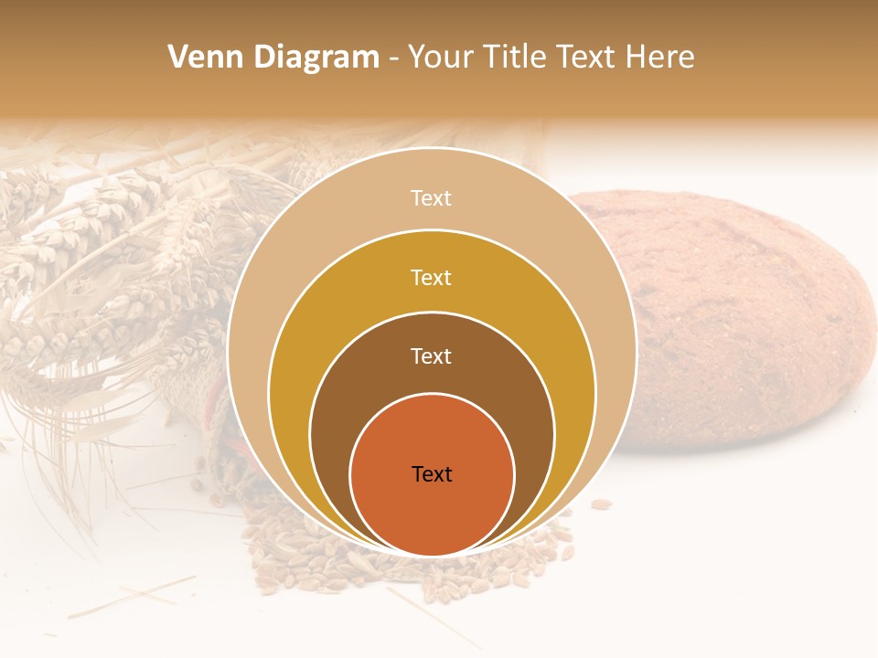 Food Wheat Crop PowerPoint Template