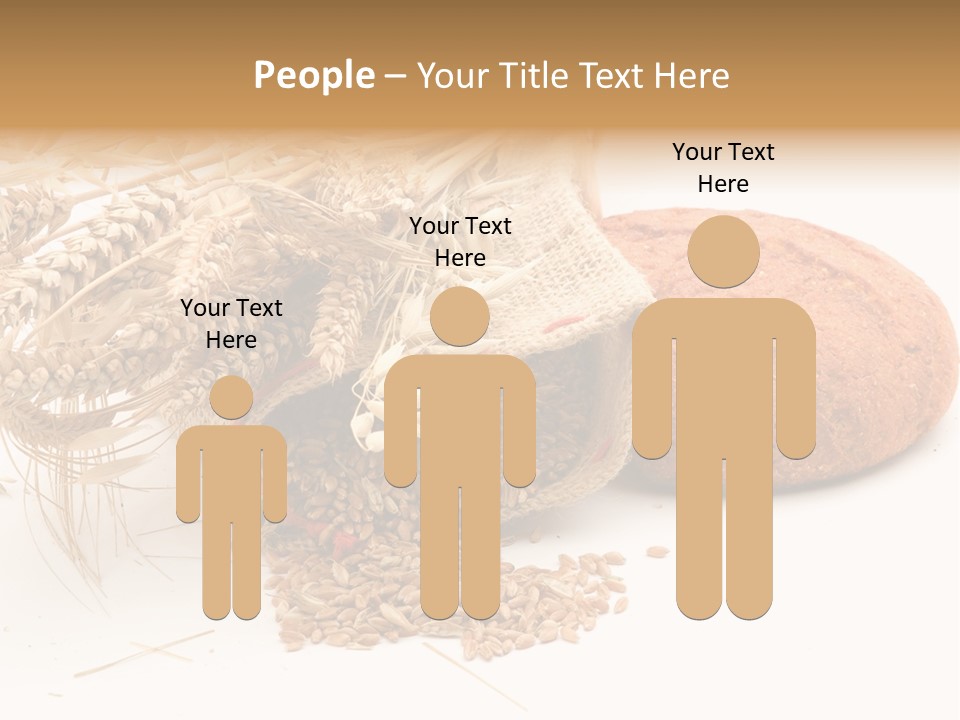 Food Wheat Crop PowerPoint Template