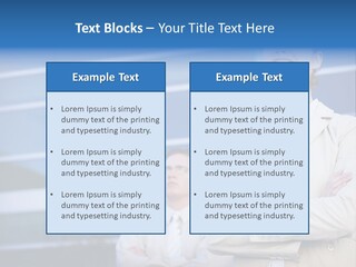 Top Indoors Authority PowerPoint Template